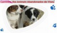 /album/publicidade/animais-jpg2/